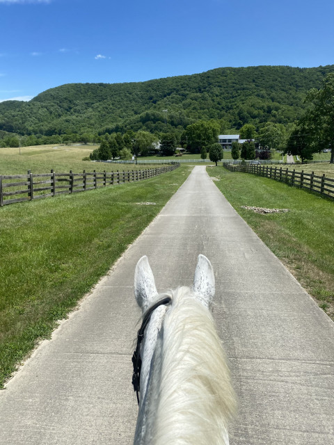 Visit Catawba Equestrian Center/Prosperity Stables of Virginia