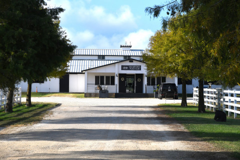 Visit San Antonio Polo and Equestrian Center