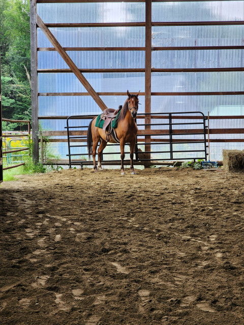 Visit Mountain Mist Farm