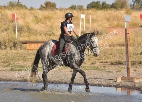 Visit WindyRidge Thoroughbreds