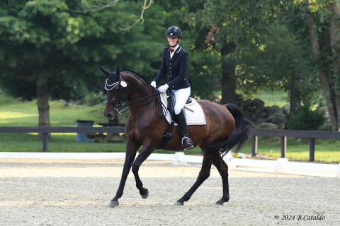 Visit Melissa Tindall Dressage