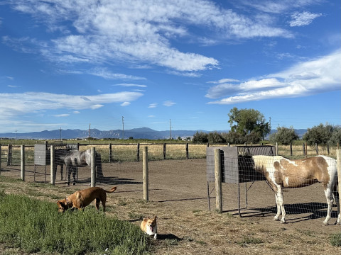 Visit Anna’s Farm