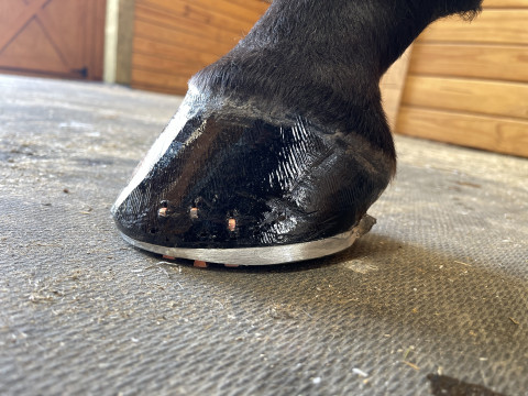 Visit JB Farrier Service