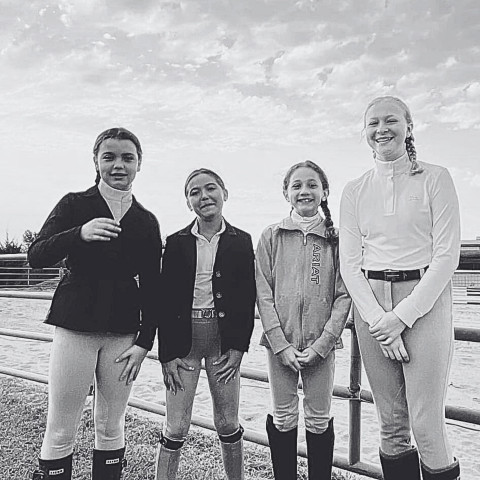 Visit Ashley Mason Equestrian