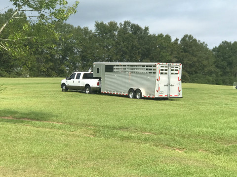 Visit Equestrian Training center of Ocala