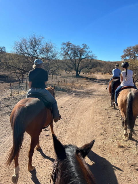 Visit Triple HP Ranch