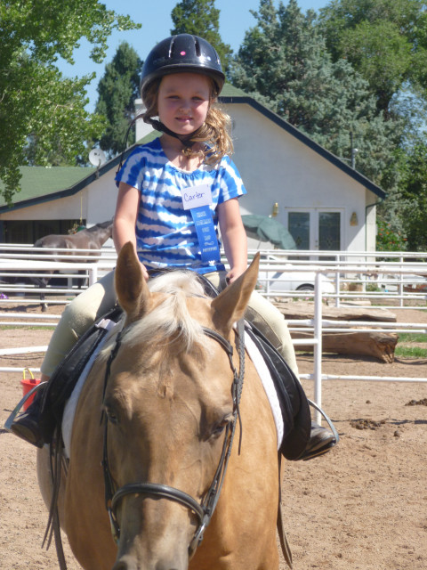 Visit Denver Equestrians Riding School