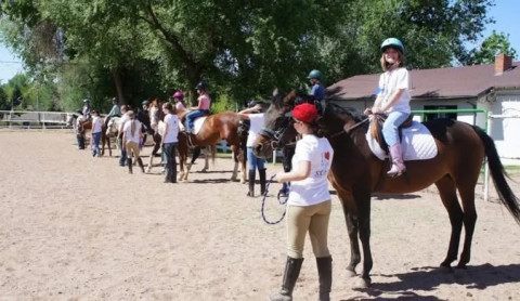 Visit Denver Equestrians Riding School