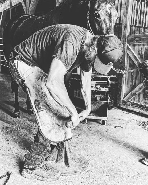 Visit Willow Creek Farrier Service (Owner Shawn Mullis)
