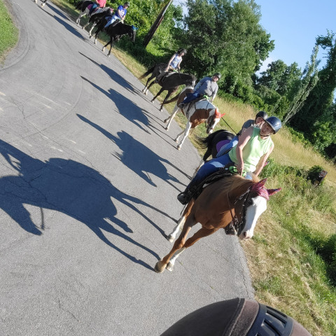 Visit Evergreen Stables