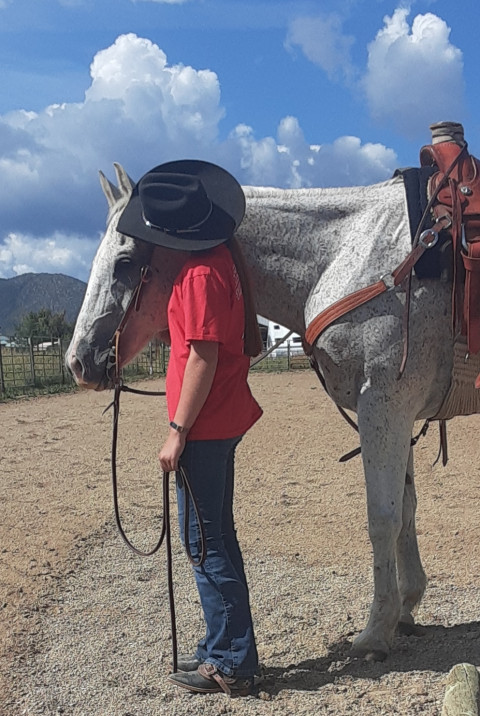 Visit MacArthur Quarter Horses Boarding Stables