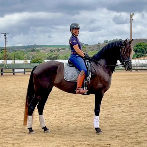 Visit Marion Wright, Belvedere Stables