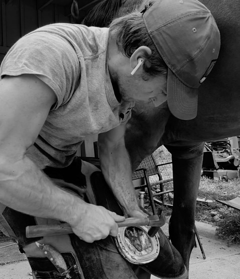 Visit Hart Horseshoeing
