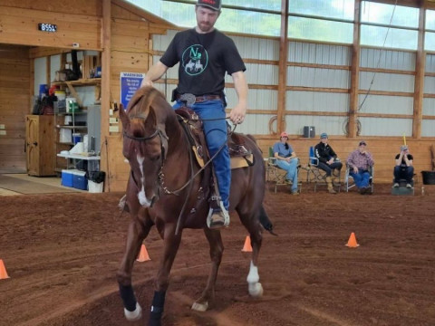 Visit Noel Performance Horses LLC