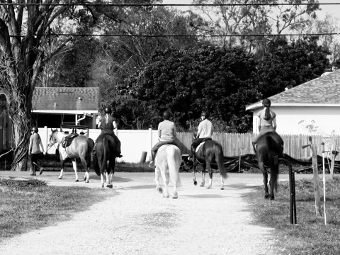Visit Simpson Equestrian Center