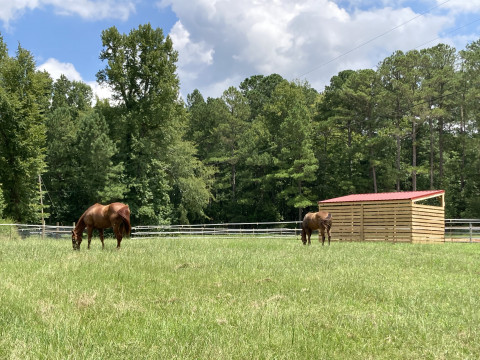 Visit Hearts Desire Eventing