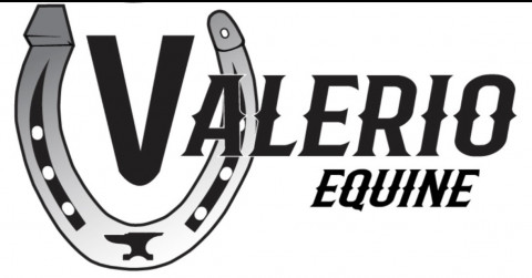 Visit Valerio Equine