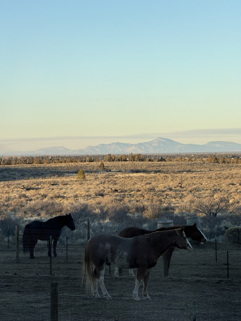 Visit Sunrise Ridge Horse Boarding SE Bend, OR