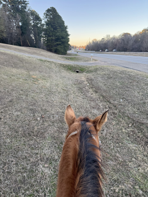 Visit Rockin H Ranch