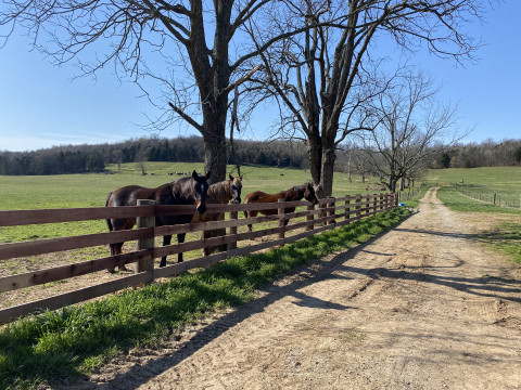 Visit Chism Creek Farm