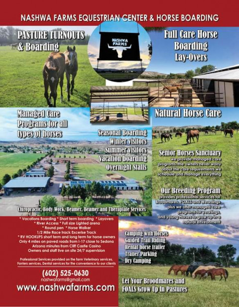 Visit RETIREMENT HORSES & Broodmares Foals