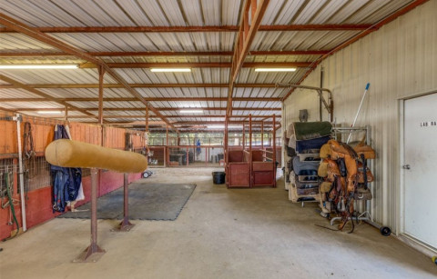 Visit Austin Acres Horse Rescue & Retreat