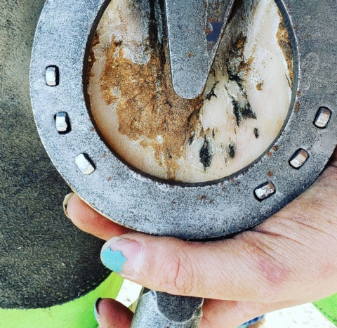 Visit Locke Farrier Service