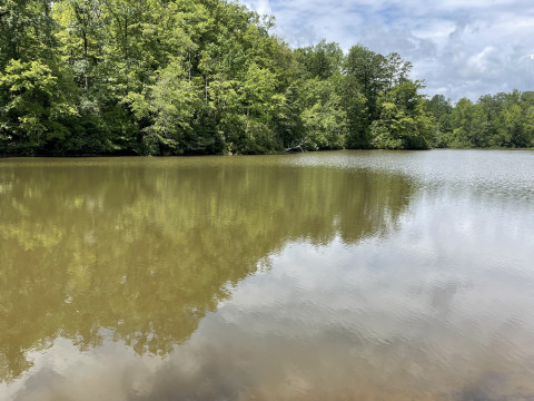Visit +/- 31.25 Acres Tract 3 on Easy Street in Tamassee, SC