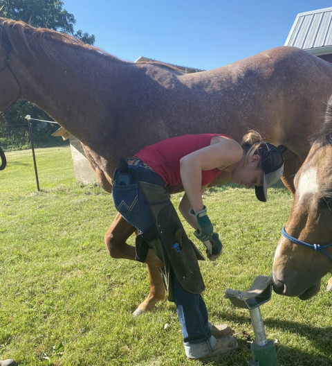 Visit Garlock Farrier Services