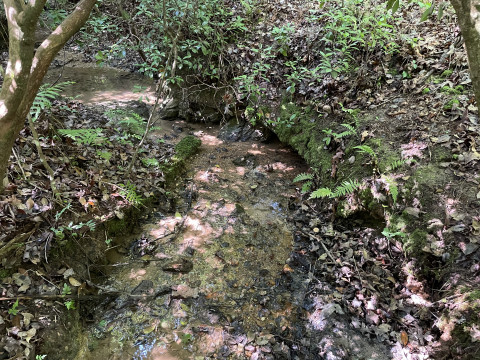 Visit +/- 23.53 Acres – Tract 7 on Whitewater Point Road in Tamassee, SC