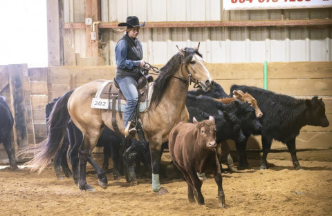 Visit Cedar Grove Farm Horse Boarding