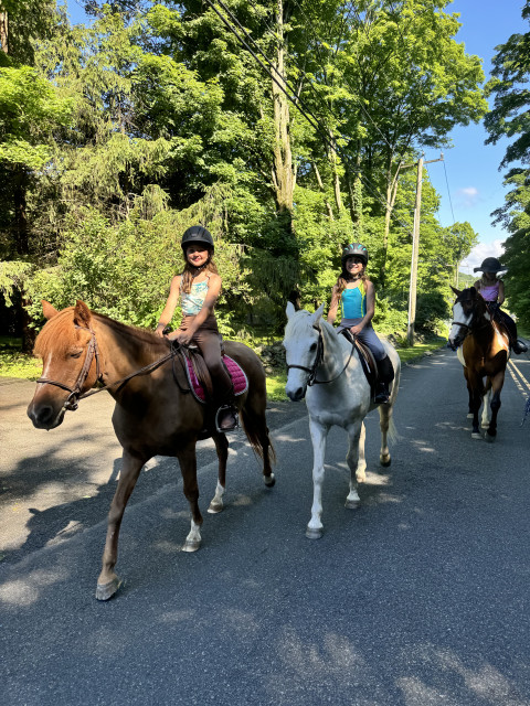 Visit FRS Equestrian