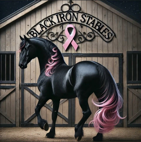 Visit Black Iron Stables