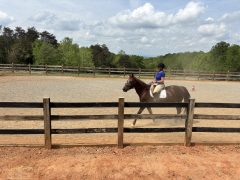 Visit Pine Ridge Stables