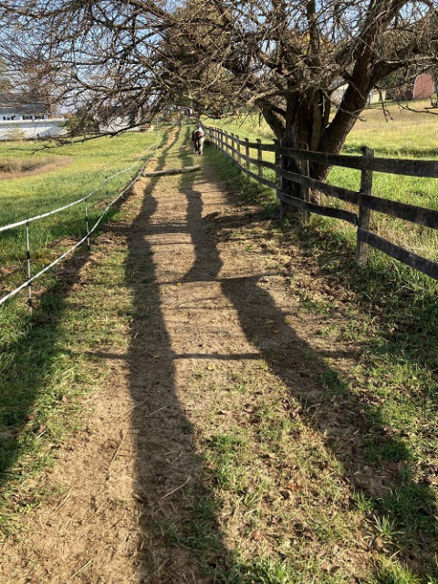 Visit Full Circle Track Horse Boarding