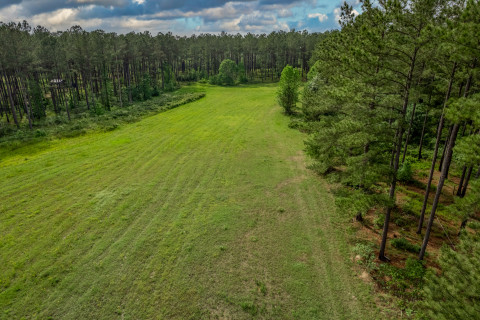 Visit 21 acres in Greene County