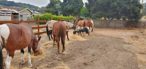 Visit Teng Ranch