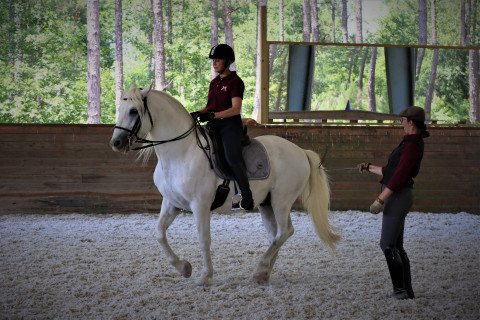 Visit Tempus Renatus Riding School