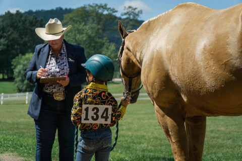 Visit Mackenzie Mutter Equine Services