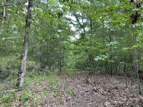 Visit +/-48.35 Acres on Anthony Road in Pickens, SC