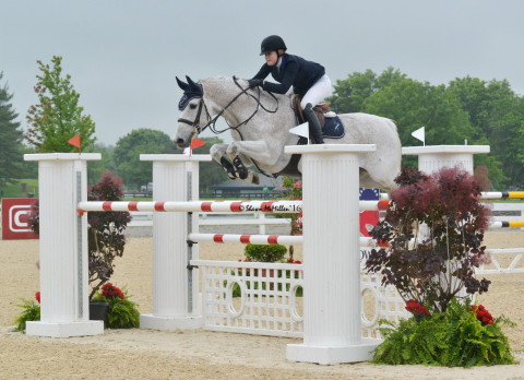 Visit Equine Odyssey, LLC - Dana Wille