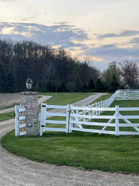 Visit Equine Odyssey, LLC