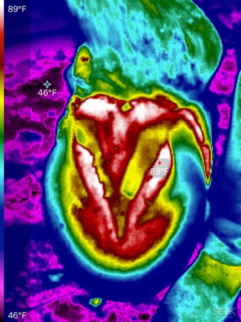Visit Thermal Imaging