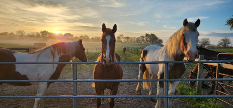 Visit 10 Oaks Ranch