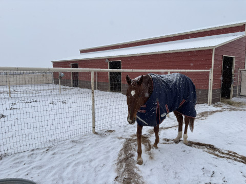 Visit ORGAN MOUNTAIN RANCH, LLC