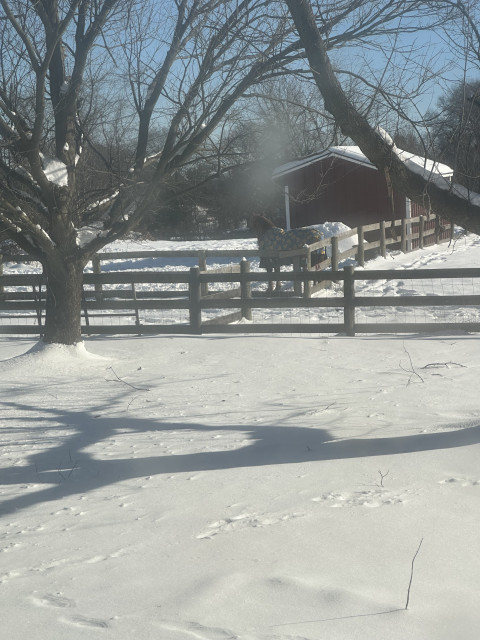 Visit Grassy Knoll Farm
