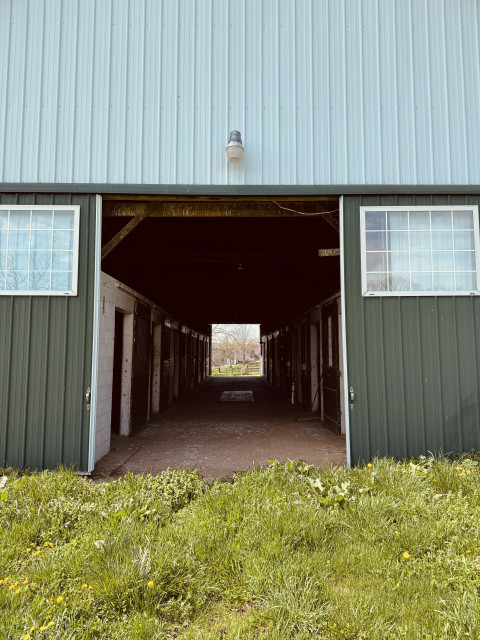 Visit Elkhorn Creek Stable
