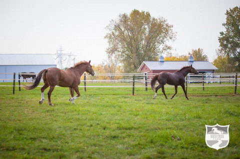 Visit Kress Creek Farm