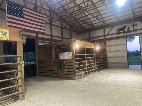 Visit Blackwood Stables