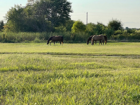 Visit Stables at The Ridge